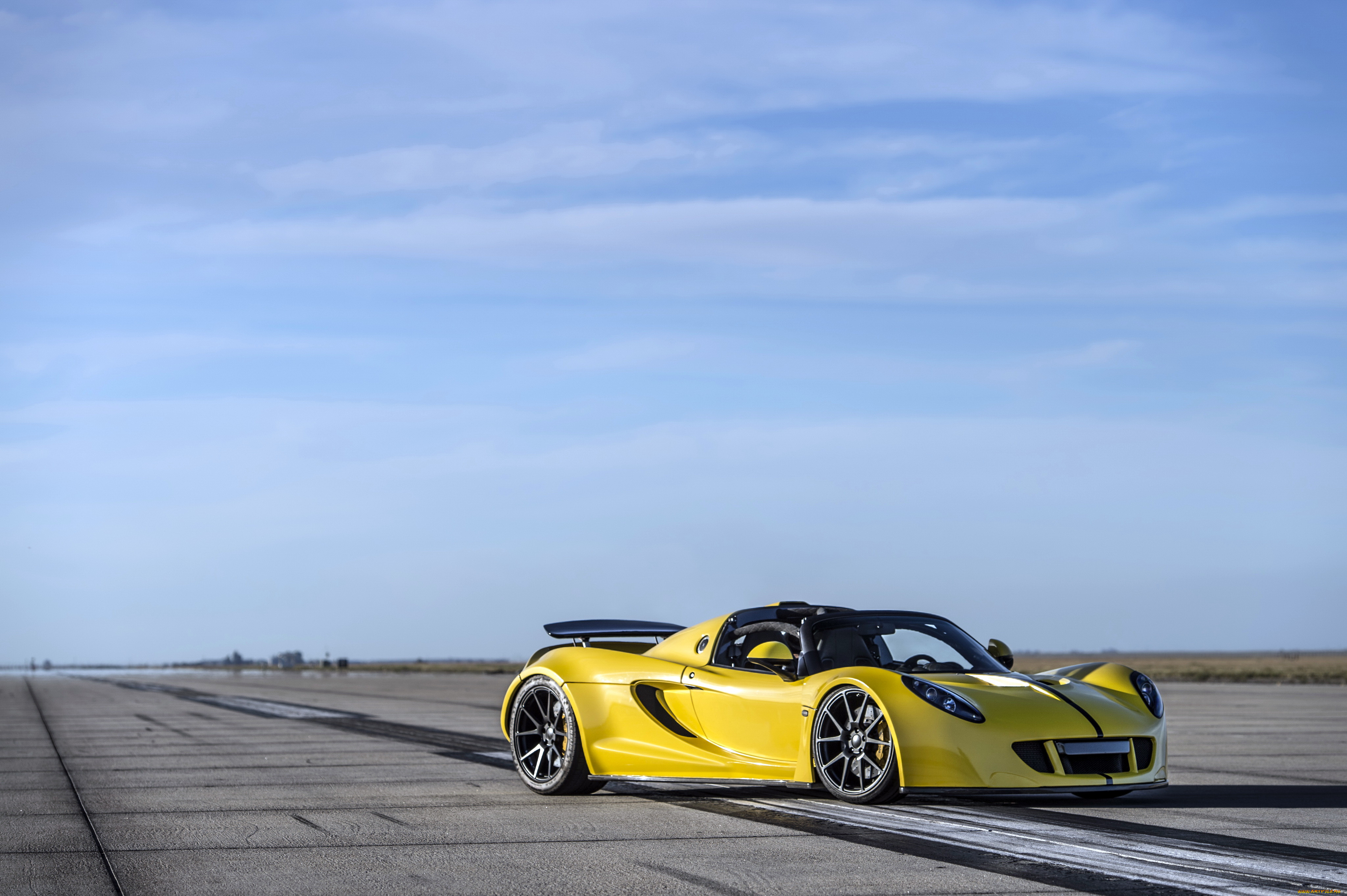 , lotus, , 